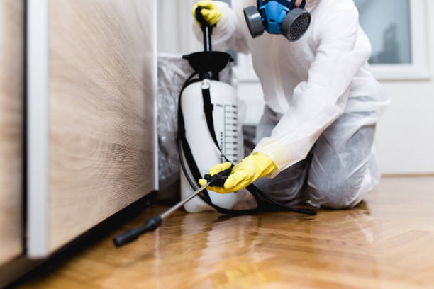 Best Pest Removal Services  in Lemon Grove, CA