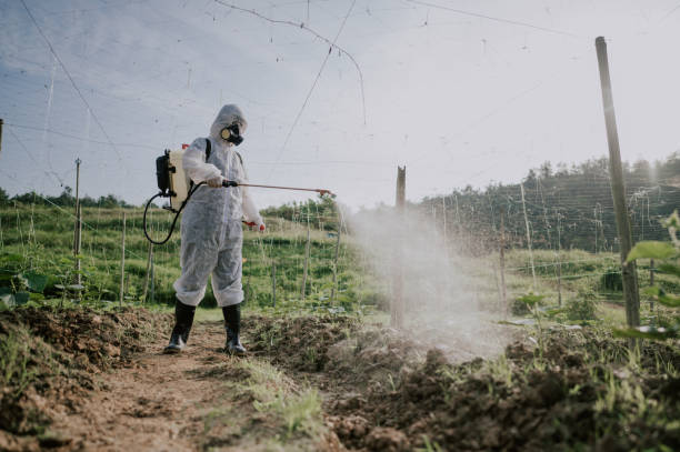 Best Mosquito Control Services  in Lemon Grove, CA