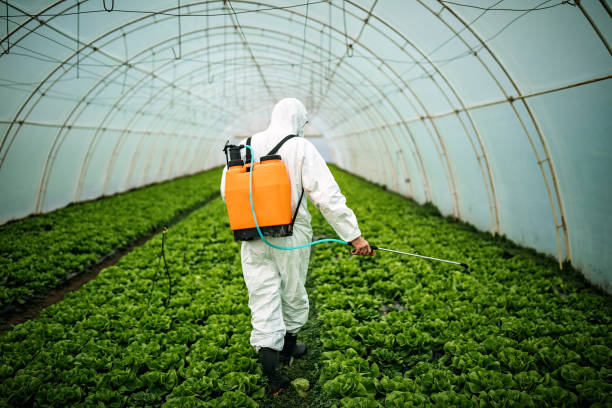 Best Ant Control Services  in Lemon Grove, CA