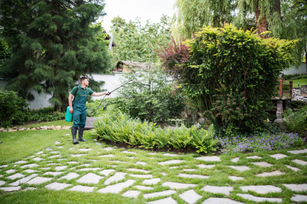 Best Best Pest Control Companies  in Lemon Grove, CA