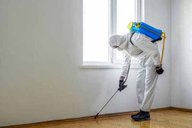 Trusted Lemon Grove, CA Pest Control Experts