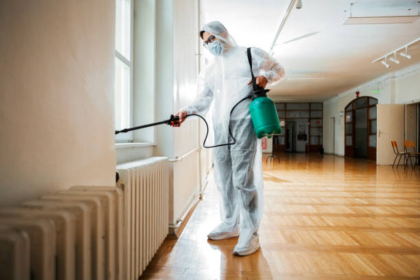 Best Pest Removal Services  in Lemon Grove, CA