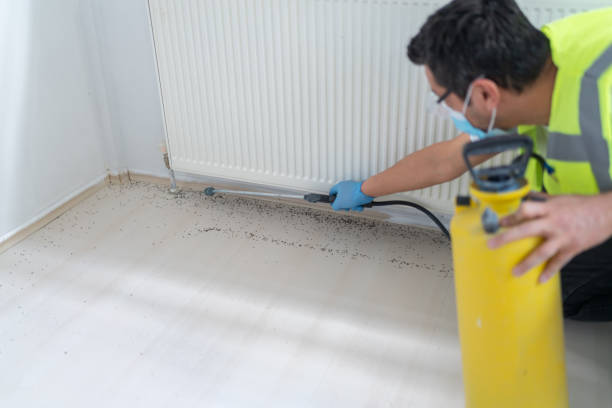 Best Residential Pest Control  in Lemon Grove, CA